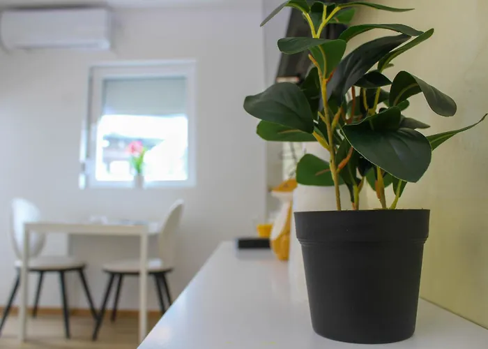 Kimi زلاتيبور